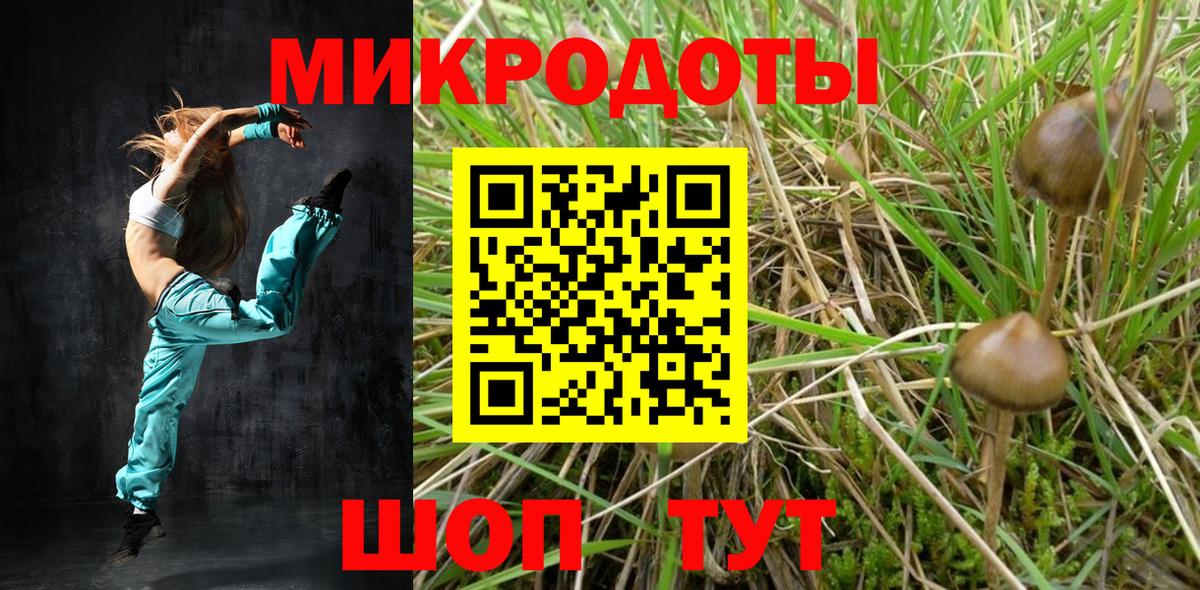 Ленинск-Кузнецкий  Галлюциногенные грибы Psilocybe  Вход с VPN 